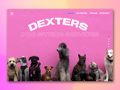 Web CTA | Dexters Dog Sitting Service blue cta dogs dribbble invision invision studio orange pets pink ui ui design ux ux design web web design