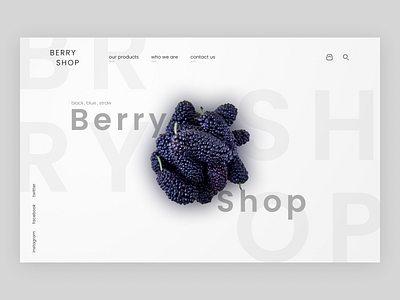 Berry shop - website concept