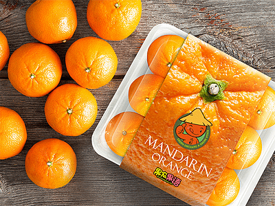 Mandarin & Orange branding design illustration logo
