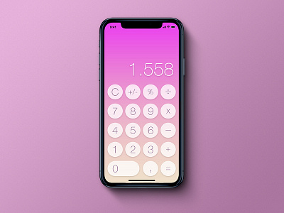 Calculator on iPhone X - UI