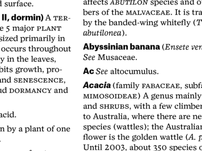 dictionary in progress