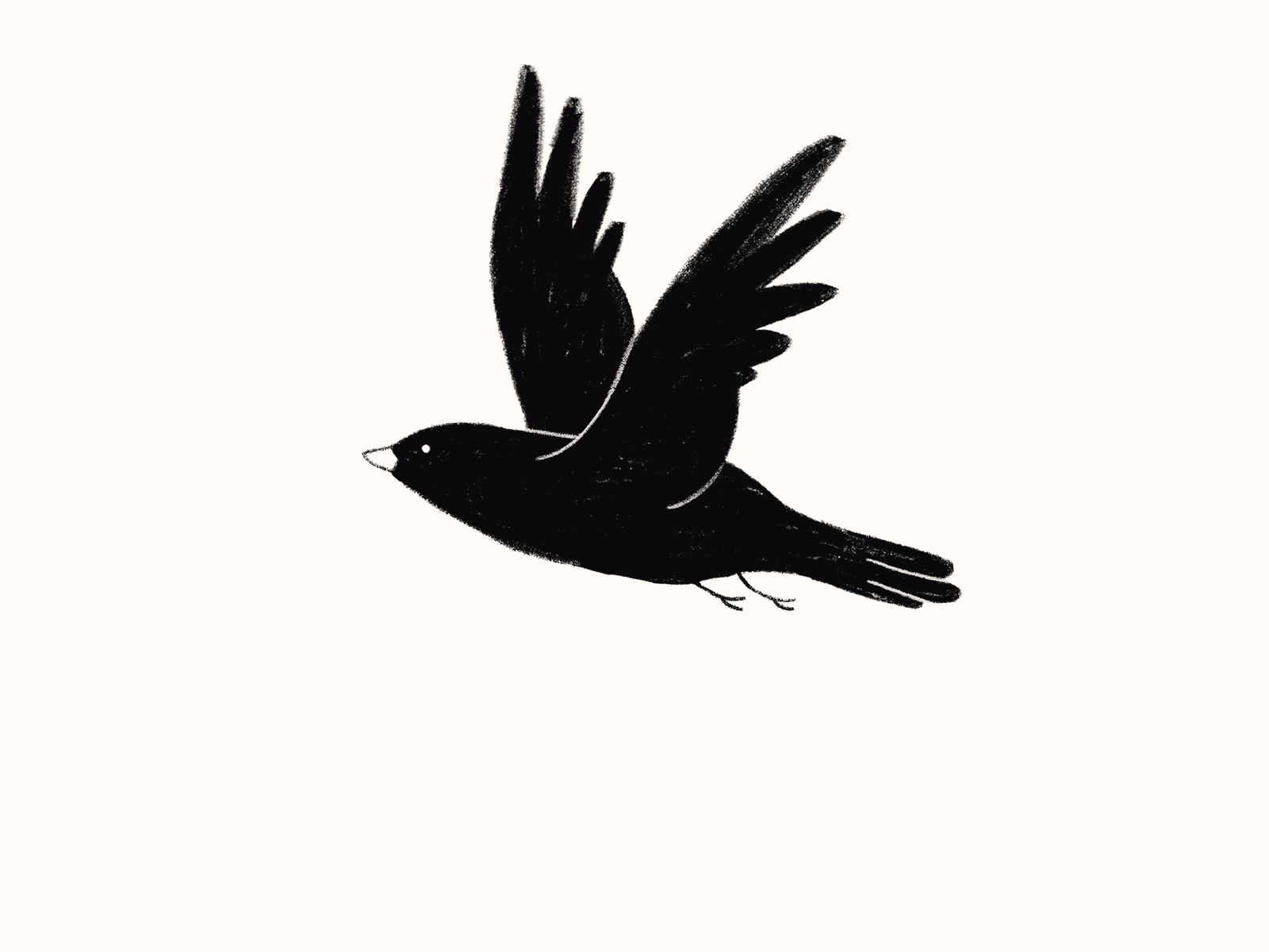 Flying Bird by Maison Bernie on Dribbble