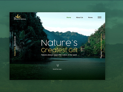 A Booking Site - For the world's best rainforests design digital digital design sketch sketch app ui ui design ux website concept website design