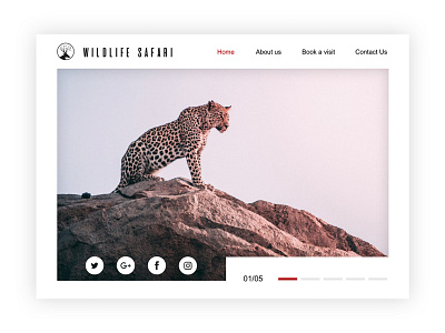 Wildlife Safari - A platform to book the best safari experience branding design digital digital design sketch typography ui ux whitespace