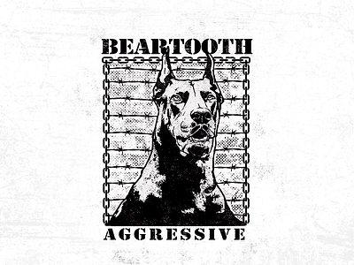 Beartooth