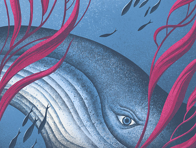 Whale in Kelp (detail) colour illustration illustrator kelp marine life nature procreate sea sealife texture underwater whale whales wildlife