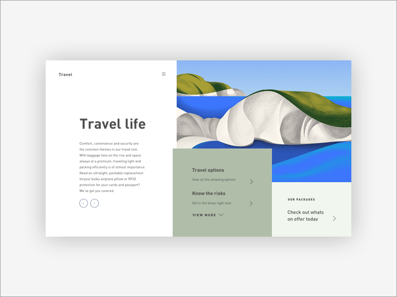 Travel Site Homepage Interaction animation illustration interaction interaction design principle travel ui