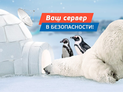 Hqhost Colocation Promo bear hqhost light pinguins snow web webdesign white winter