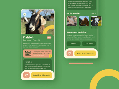 Animal sanctuary 70s adopt animals app cards charity dailyui design digital donate farm geometry ui uichallenge uidesign