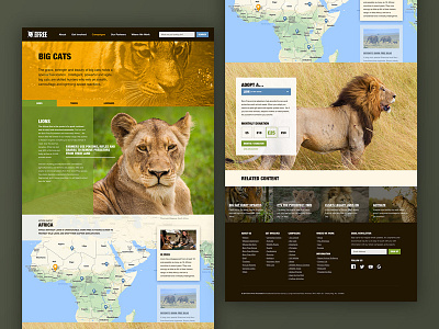 Born Free pitch work - content page ui visual design website design