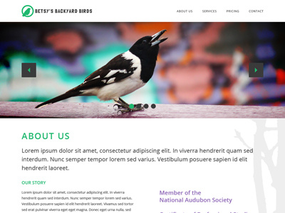 Betsys Birds Site flat image slider minimal simple web