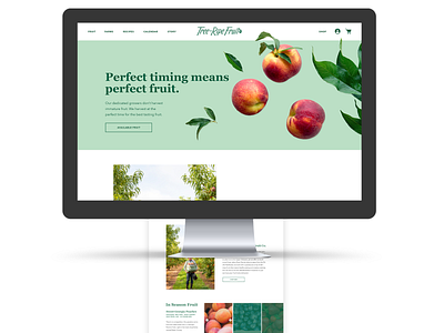 Tree Ripe Fruit Homepage Design branding web design