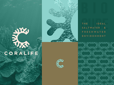 Coralife Brand Package Concept branding packaging