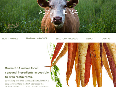 RSA Web Design (About) css html milwaukee milwaukee restaurants web design