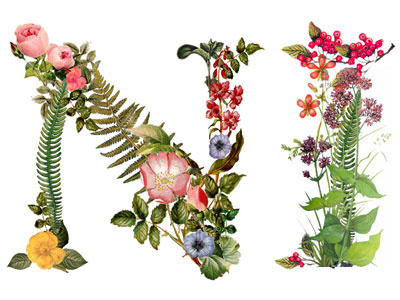 Floral typography floral lettering typography