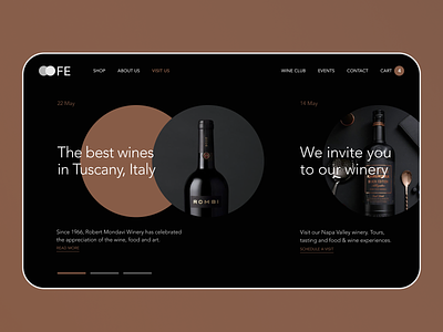 FE Vines Website Concept