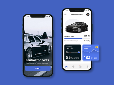 Auto Insurance App Concept