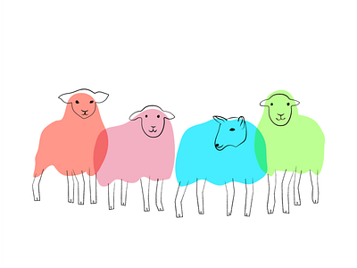 Sheeps Illustrations