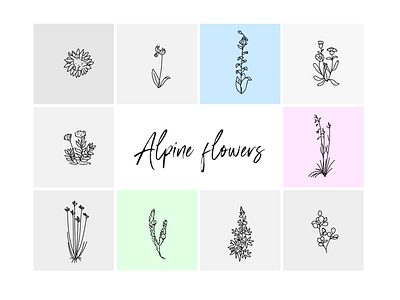 Alpine flowers alpine flowers alps floral illustration flowers flowers free vector illustration illustrator minimalism minimalistic design vector wacom intuos