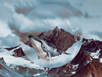 Whale abstract art direction graphic design photo manipulation