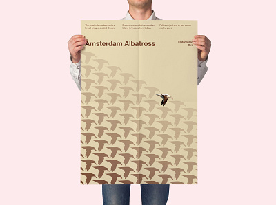 Endangered Bird: Amsterdam Albatross communication design create awareness graphic design international typographic style pattern design pattern poster poster design sushant kumar rai swiss design