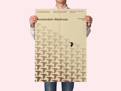 Endangered Bird: Amsterdam Albatross