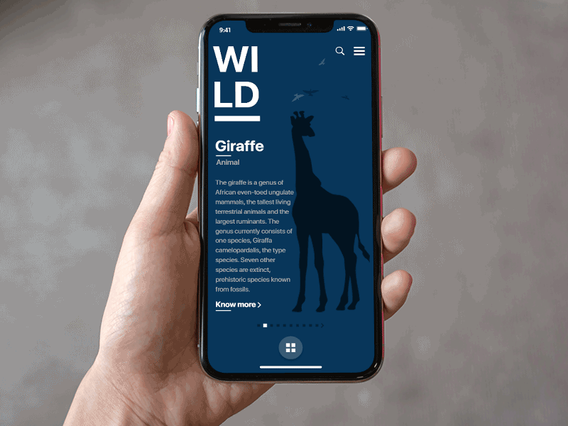 Wildlife Explorer App