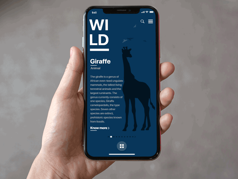 Wildlife Explorer App adobe xd animation app design blue and white daily 100 daily ui 003 design design jombie graphics interaction interaction design micro interaction mobile app sushant sushant kumar rai ui uiux ux wild life