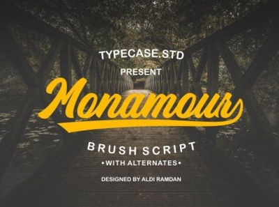 Monamour Brush Script with Alternates