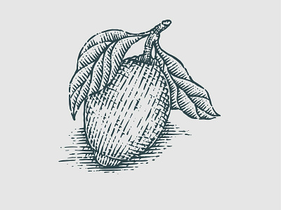 Lemon illustration