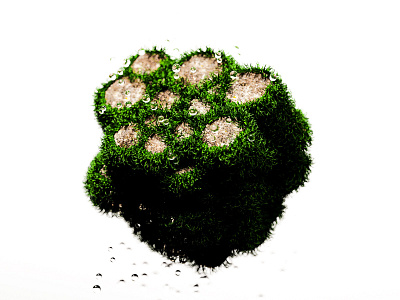 Botanist Grass Abstract Art 3d 3dsmax abstract adobe cgi cinema4d colors design eco grass green material photoshop plant primitive redshift render spheres texture water