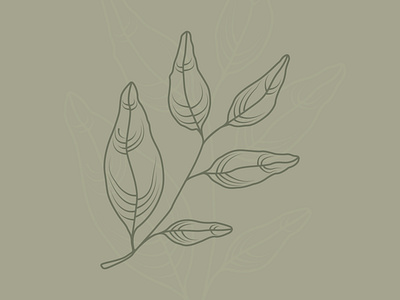 Sage Leaves