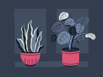 Houseplants houseplant illustration plant window