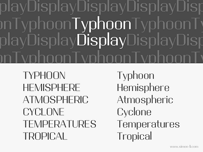 Typhoon Display Regular font type design typeface typography