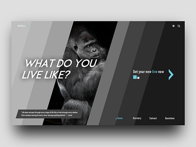 what do you live like WEB design design web