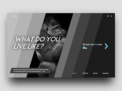 what do you live like WEB design