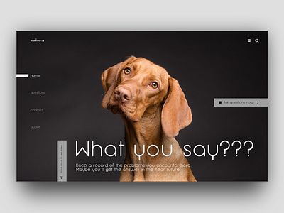 What you say???  - web design