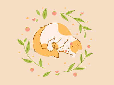 Sleeping Cat Illustration cat cute flat design illustration sleeping