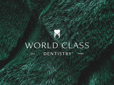World Class Dentistry | Logo Design class dentist dentistry design icon identity logo love sarasota tooth world