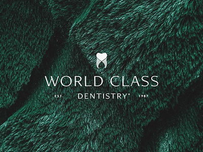 World Class Dentistry | Logo Design