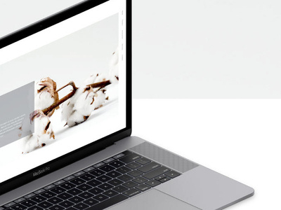 WEB DESIGN | 2019 | Cottonball corpoarate design flowers logo design minimal shop uxui web webdesign