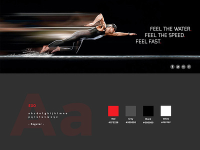 WEB DESIGN | Intern School Project 2015 | SPEEDO