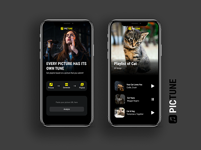 PICTUNE - Picture Your Tune dark theme mobile design music music player playlist web app website design