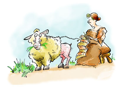 Sheep childrens books history illustration