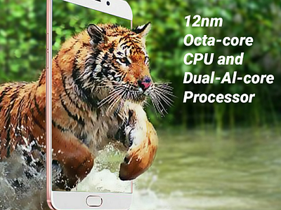Oppo social media post content mobile tiger water water splash wild