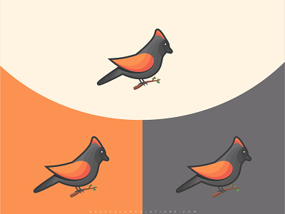 Bird Illustration | Graphic Design | Branding