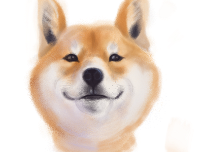 Akita dog form foxy illustration paintings pretty smile