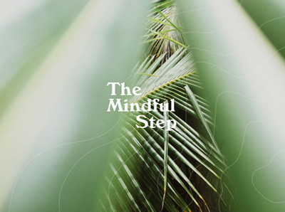 The Mindful Step branding branding and identity design identity logo logo design logos logotype minimalistic modern stationery sustainability typography vector
