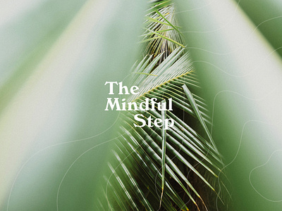 The Mindful Step