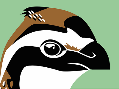 Bobwhite Quail adobe bird bobwhite bobwhite quail carolina color design dribbble flat graphic design hunting illustrator logo nc north carolina quail simple vector wildlife